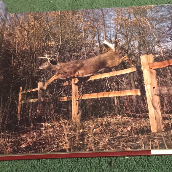 Vintage 1994 “Whitetail Autumn” Hardcover with dust jacket - Picture 4 of 4